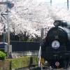 Kyoto Steam Locomotive Museum