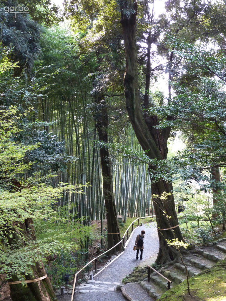 bamboo, Kyoto