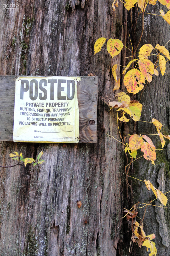 Posted sign on tree