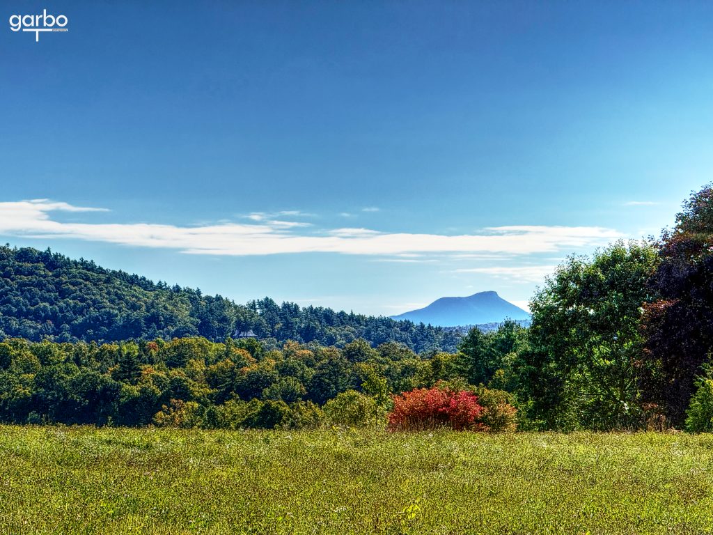 Distant mountain through trees